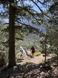 2025-05-25-Colorado-60-Ouray-Box-Canon-Travis.JPG