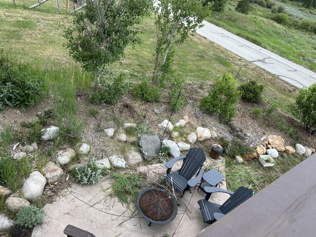 2025/06(June)/Colorado/1024x768_2025-06-28--Colorado-13-Garden.JPG