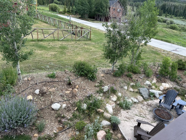 2025-06-29--Colorado-15-Garden-After.JPG