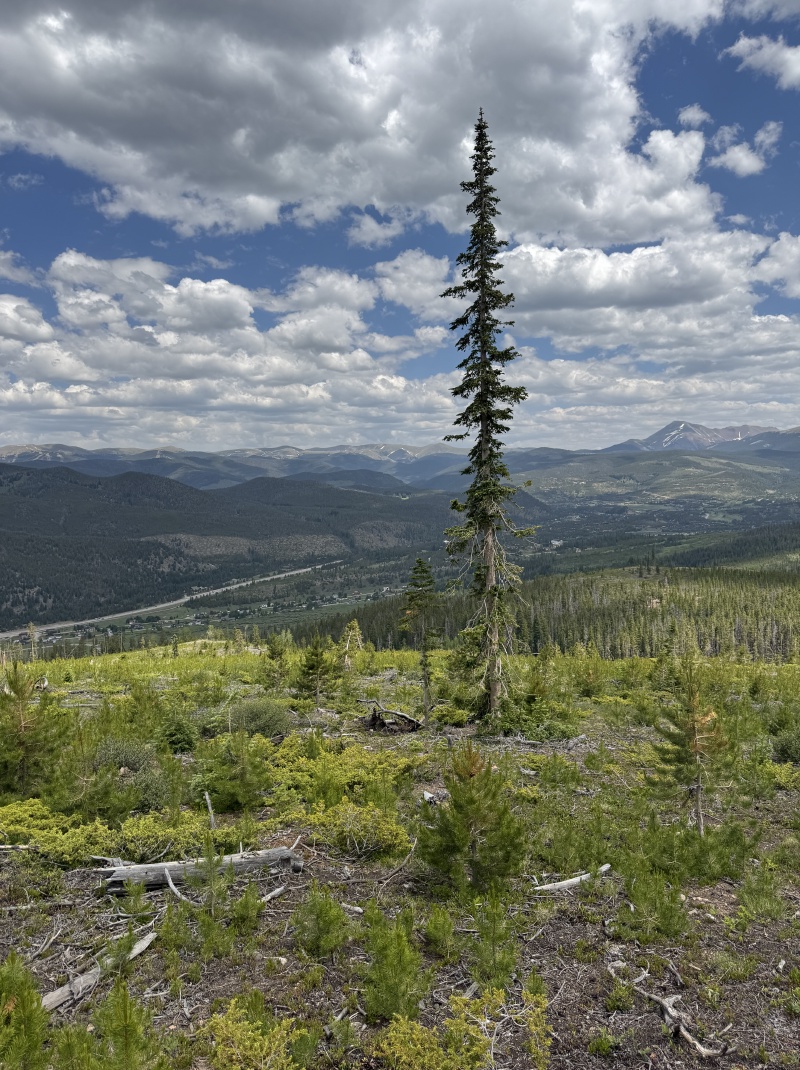 2025/06(June)/Colorado/800x600_2025-06-26-Colorado-51-JMT-Practice-Hike.JPG