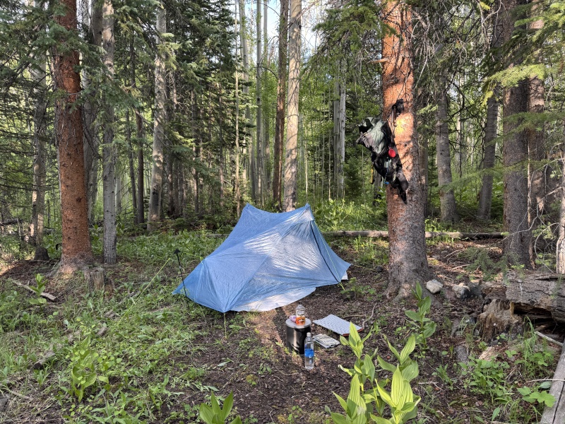 2025/06(June)/Colorado/800x600_2025-06-26-Colorado-67-JMT-Practice-Hike-Zpacks-Tent.JPG