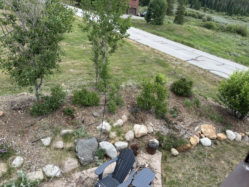 2025/06(June)/Colorado/800x600_2025-06-29--Colorado-16-Garden.JPG