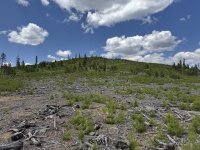 2025-06-26-Colorado-48-JMT-Practice-Hike.JPG