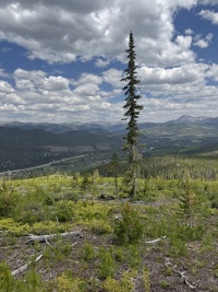 2025-06-26-Colorado-51-JMT-Practice-Hike.JPG