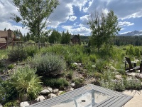 2025-06-27--Colorado-03-Garden.JPG