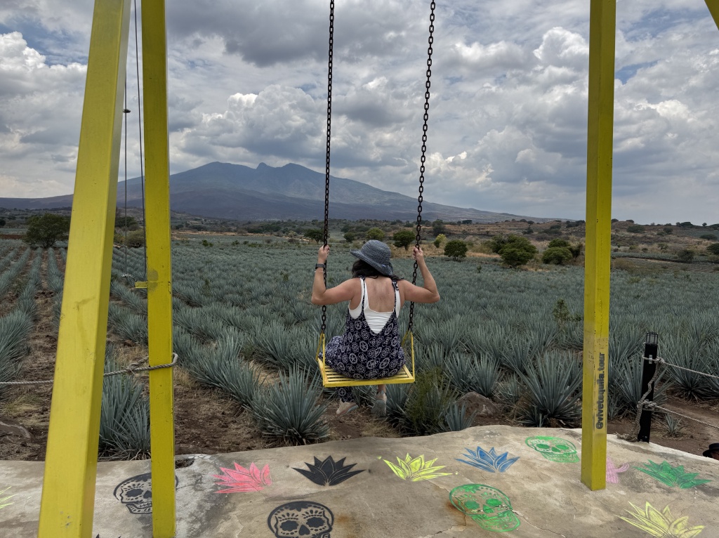 2025/06(June)/Tequila-Mexico-City-with-Seeleys/1024x768_2025-06-14-Mexico-052-Tequilla-Suzi-swing.JPG