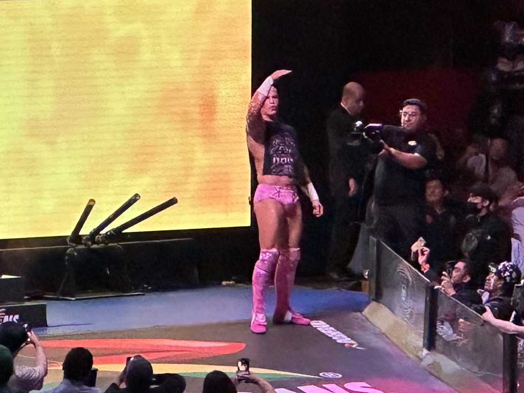 2025/06(June)/Tequila-Mexico-City-with-Seeleys/1024x768_2025-06-17-Mexico-224-LuchaLibre.JPG