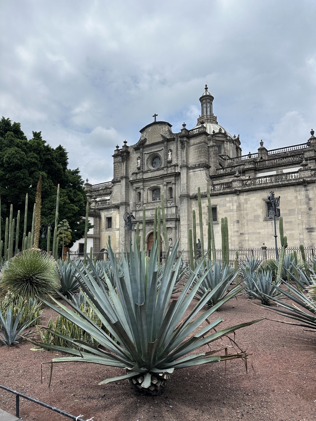 2025/06(June)/Tequila-Mexico-City-with-Seeleys/1024x768_2025-06-19-Mexico-369-City-Square.JPG
