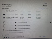 2025/06(June)/Tequila-Mexico-City-with-Seeleys/2025-03-30-Mexico-001-flight-plan.JPG
