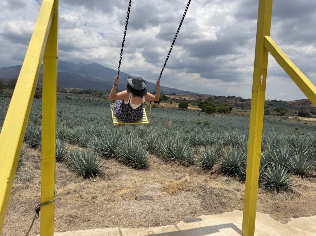 2025-06-14-Mexico-001-Tequilla-swing-Suzi.JPG