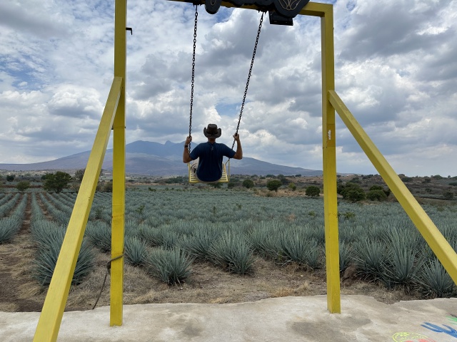 2025-06-14-Mexico-003-Tequilla-swing-Travis.JPG