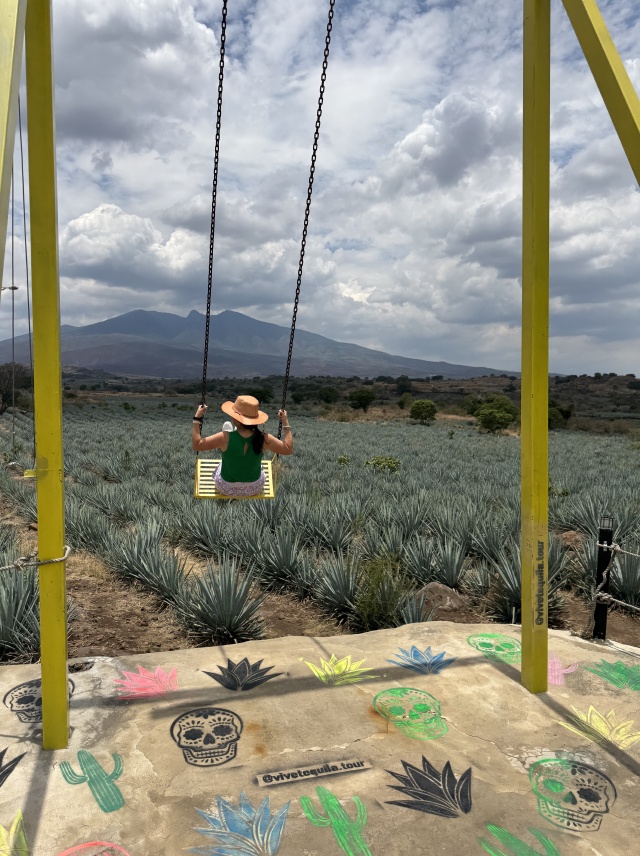 2025-06-14-Mexico-050-Tequilla-Graciela-swing.JPG