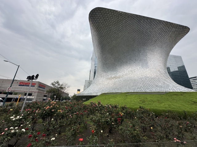 2025-06-17-Mexico-207.JPG