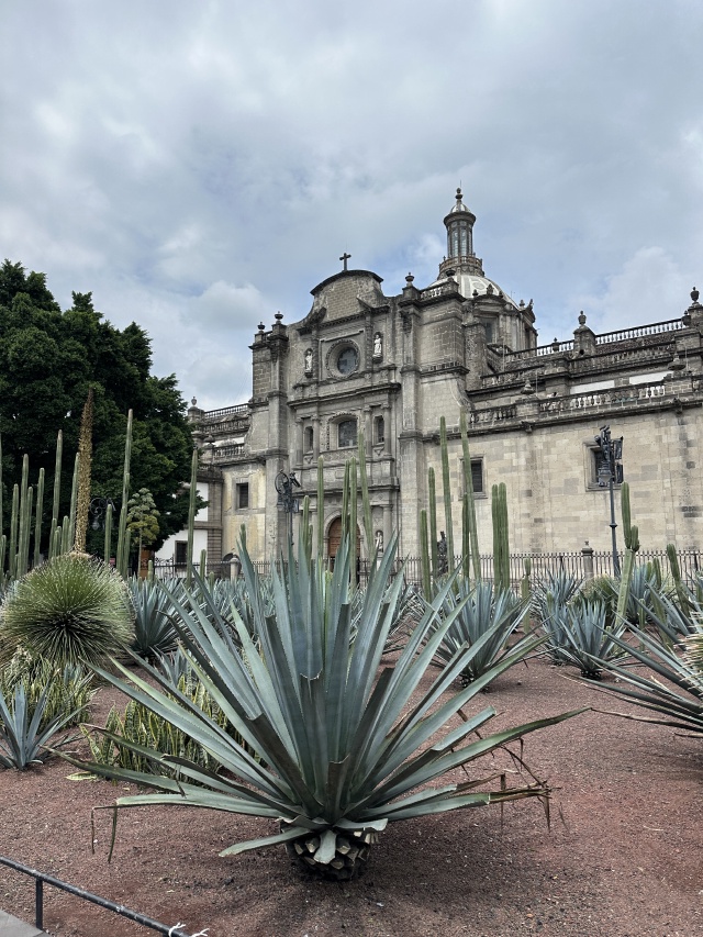 2025-06-19-Mexico-369-City-Square.JPG