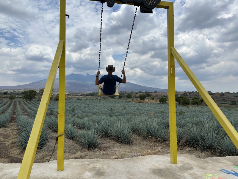 2025-06-14-Mexico-003-Tequilla-swing-Travis.JPG
