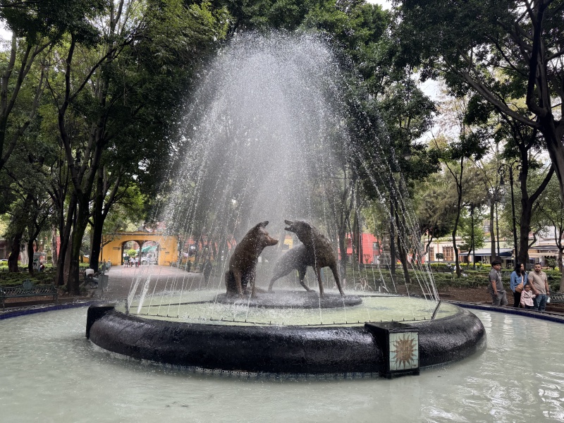 2025/06(June)/Tequila-Mexico-City-with-Seeleys/800x600_2025-06-18-Mexico-241.JPG