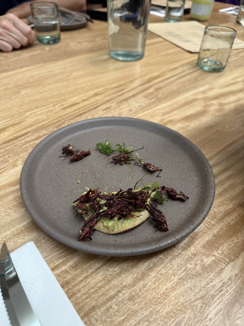 2025-06-18-Mexico-284-Nube7-Crickets.jpg