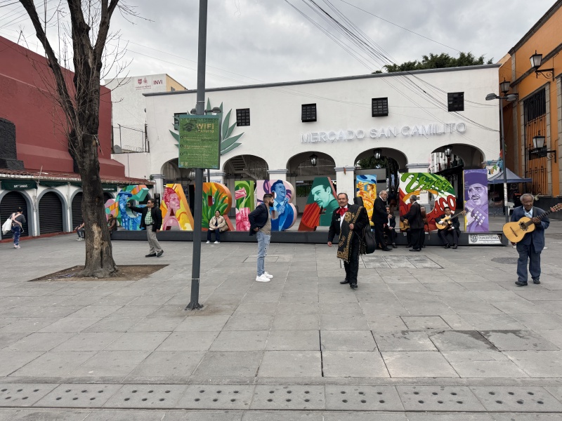 2025/06(June)/Tequila-Mexico-City-with-Seeleys/800x600_2025-06-19-Mexico-391.JPG