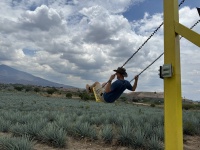 2025-06-14-Mexico-002-Tequilla-swing-Travis.JPG