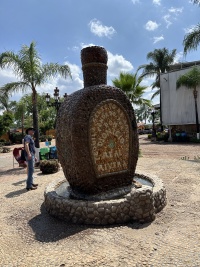 2025-06-14-Mexico-028-Tequilla-Mike.JPG