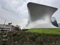 2025-06-17-Mexico-207.JPG