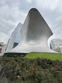2025-06-17-Mexico-208.JPG
