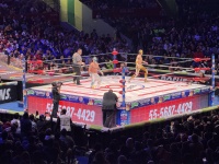 2025-06-17-Mexico-228-LuchaLibre.JPG
