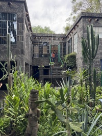 2025-06-18-Mexico-272-Frida-Kahlo.JPG