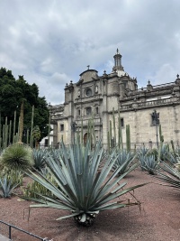2025-06-19-Mexico-369-City-Square.JPG
