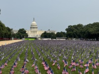 2025-06-03-WashingtonDC-11-Capitol.JPG