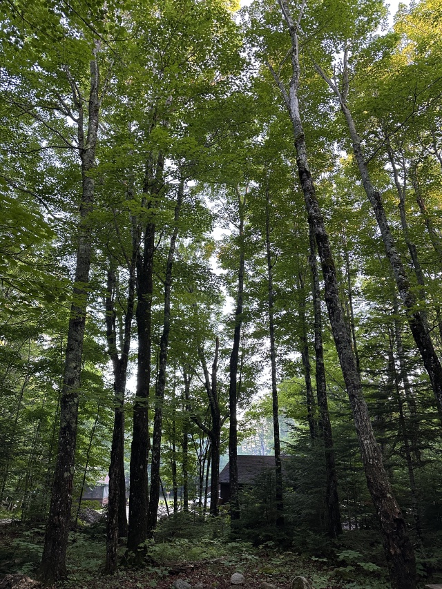 2025/07(July)/Maine-with-Chance-Bianca/640x480_2025-07-08-Maine-018.JPG