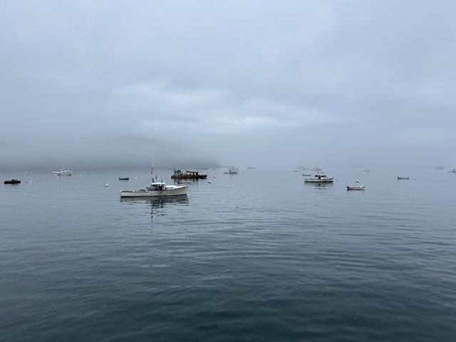 2025/07(July)/Maine-with-Chance-Bianca/640x480_2025-07-11-Maine-100.JPG