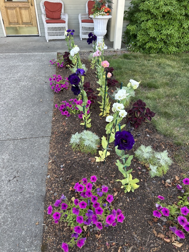 2025-07-11-Maine-187-flowers.JPG