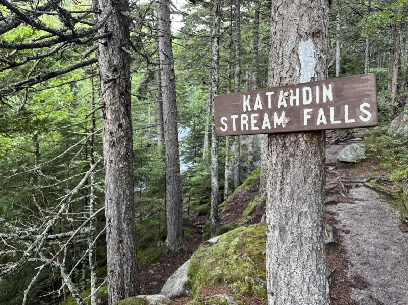 2025/07(July)/Maine-with-Chance-Bianca/800x600_2025-07-09-Maine-027-Khatadin.JPG