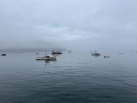 2025-07-11-Maine-100.JPG