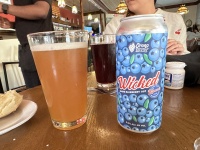 2025-07-11-Maine-192-Wicket-Blueberry-Ale.JPG