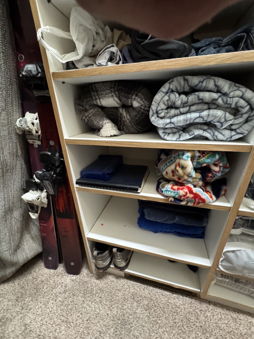 2025/09(September)/House-Pre-Renters/1024x768_2025-09-12-House-Pics-Pre-Renters-108.JPG