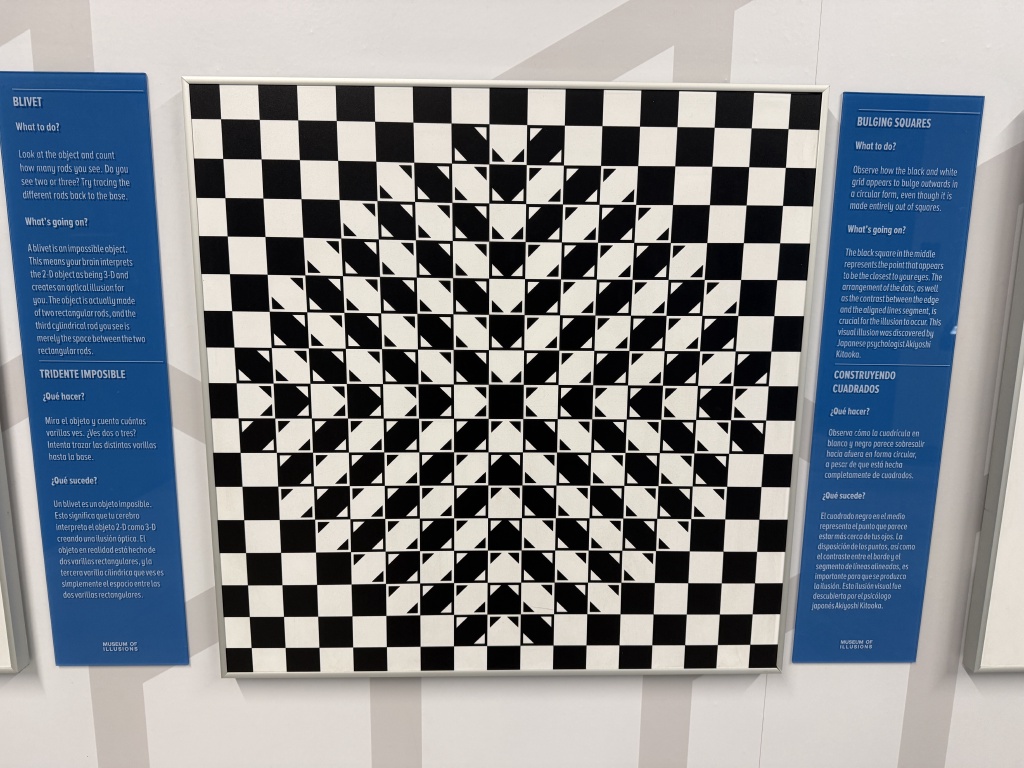2025-10-28-Vistra-Chicago-18-Museum-of-Illusions.JPG
