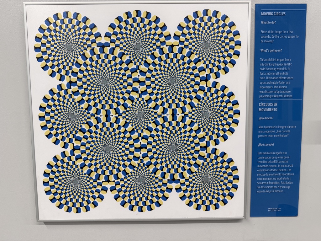 2025/10(October)/Vistra-Chicago-DC/1024x768_2025-10-28-Vistra-Chicago-43-Museum-of-Illusions.JPG
