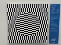 2025-10-28-Vistra-Chicago-15-Museum-of-Illusions.JPG