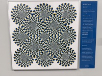 2025-10-28-Vistra-Chicago-43-Museum-of-Illusions.JPG