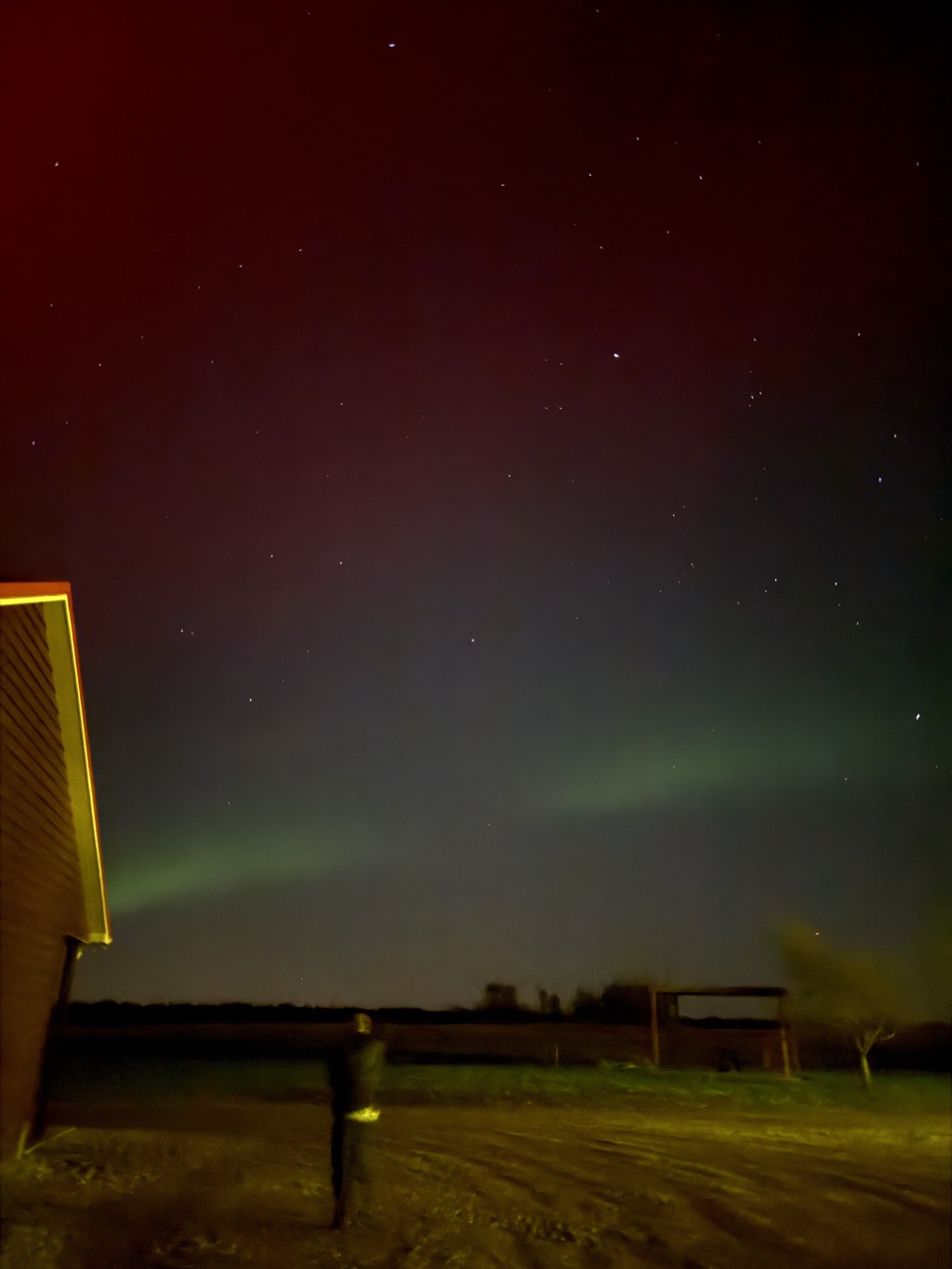 2025-11-11-SD-Pheasant-Hunting-17-Aurora-Borealis.jpg