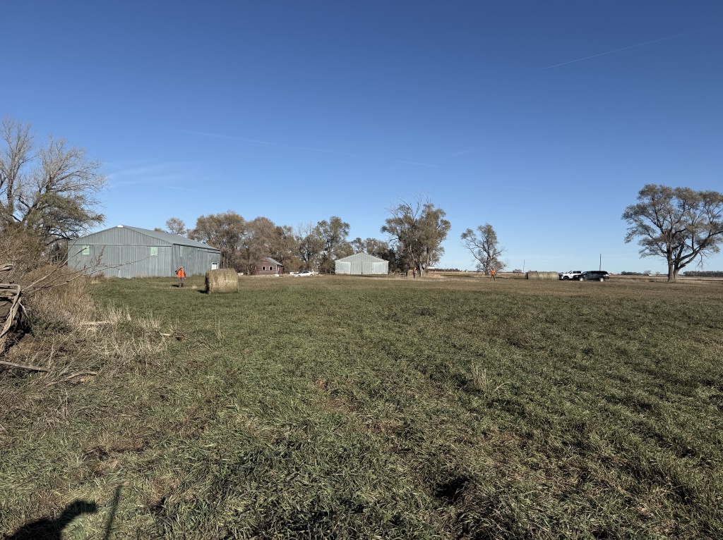2025/11(November)/SD-Pheasant-Hunting/1024x768_2025-11-12-SD-Pheasant-Hunting-25.JPG