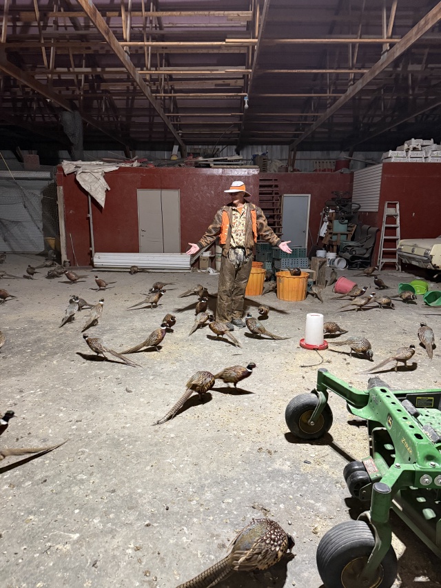 2025-11-11-SD-Pheasant-Hunting-06.jpg