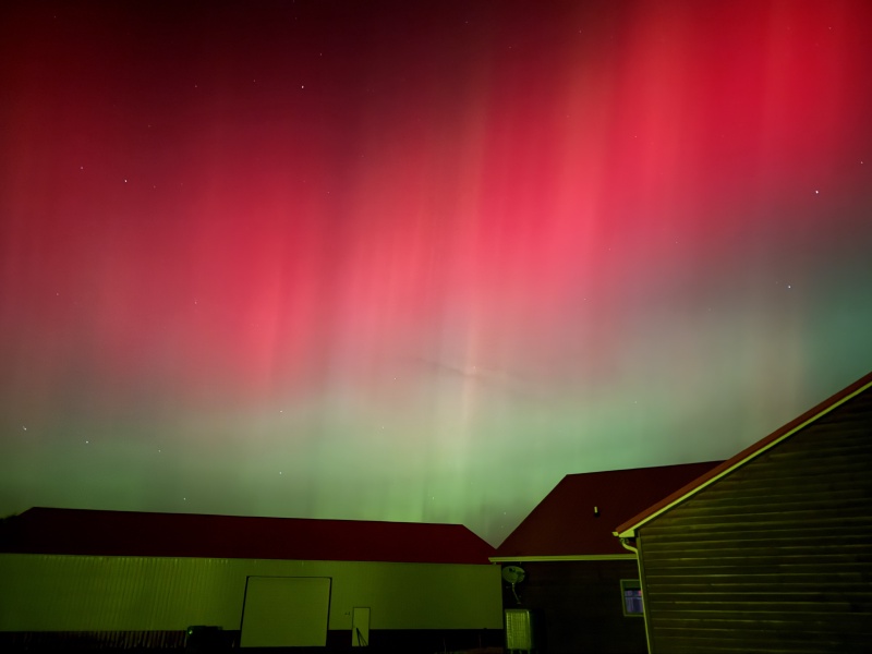 2025-11-11-SD-Pheasant-Hunting-20-Aurora-Borealis.JPG