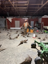 2025-11-11-SD-Pheasant-Hunting-06.jpg