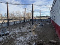 2025-11-11-SD-Pheasant-Hunting-07.JPG