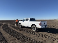 2025-11-13-SD-Pheasant-Hunting-47-Mike.JPG