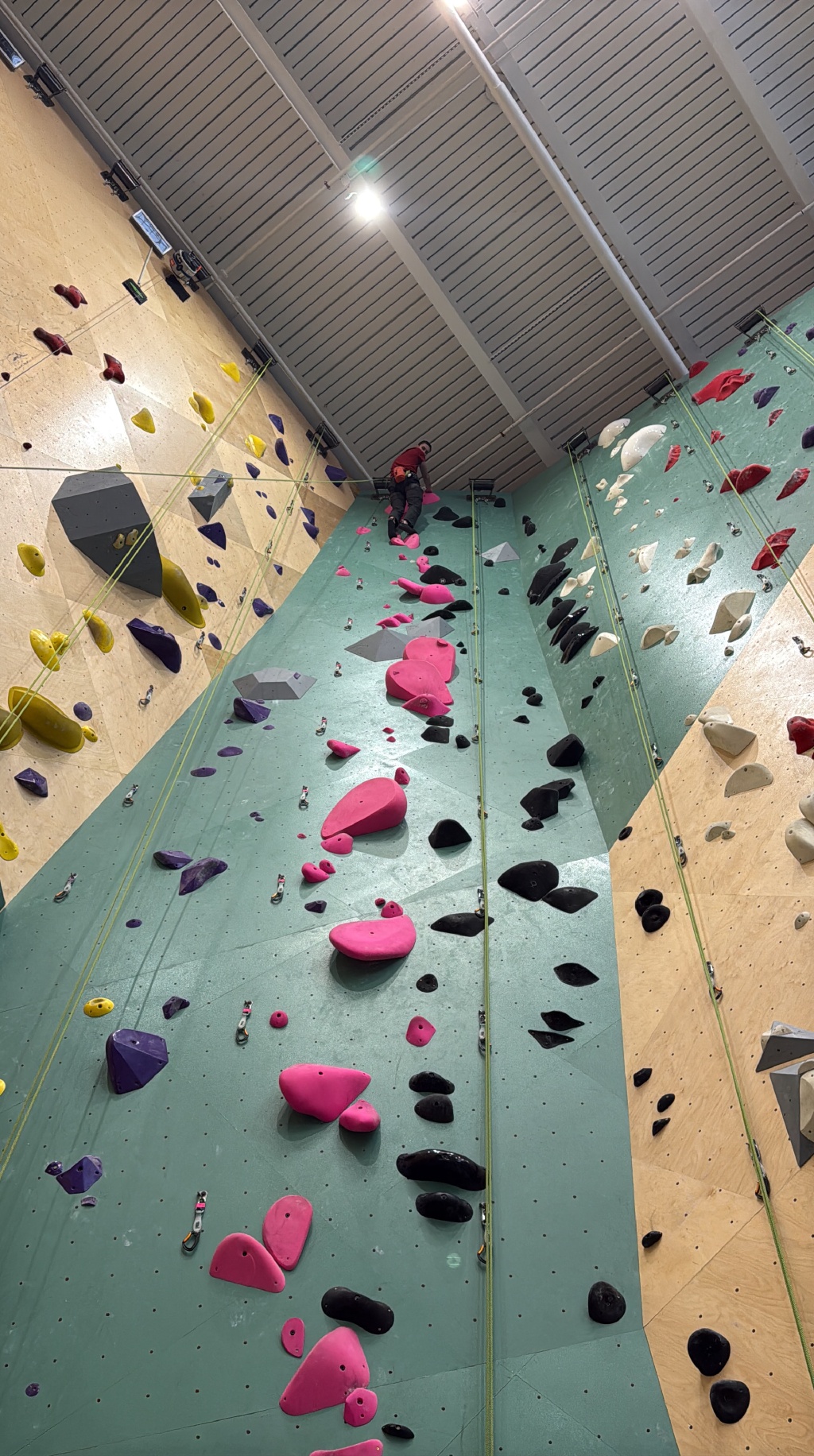 2025-12-01-Thanksgiving-40-indoor-rock-climbing-Chance.JPG