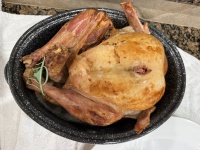 2025-11-27-Thanksgiving-04-Turkey.JPG